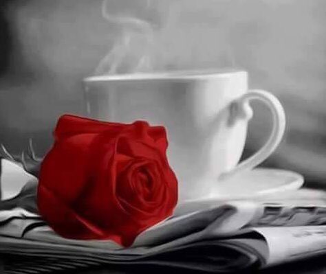 Zafar193's tweet photo. @ollove412 Welcome Olga https://t.co/5VDNfKfhov