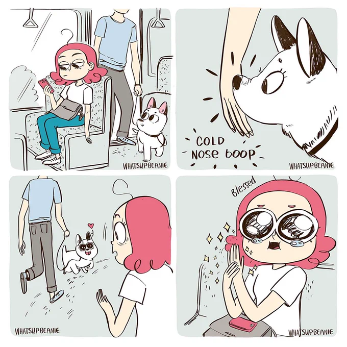 When a pup blesses you with a cold nose boop. 