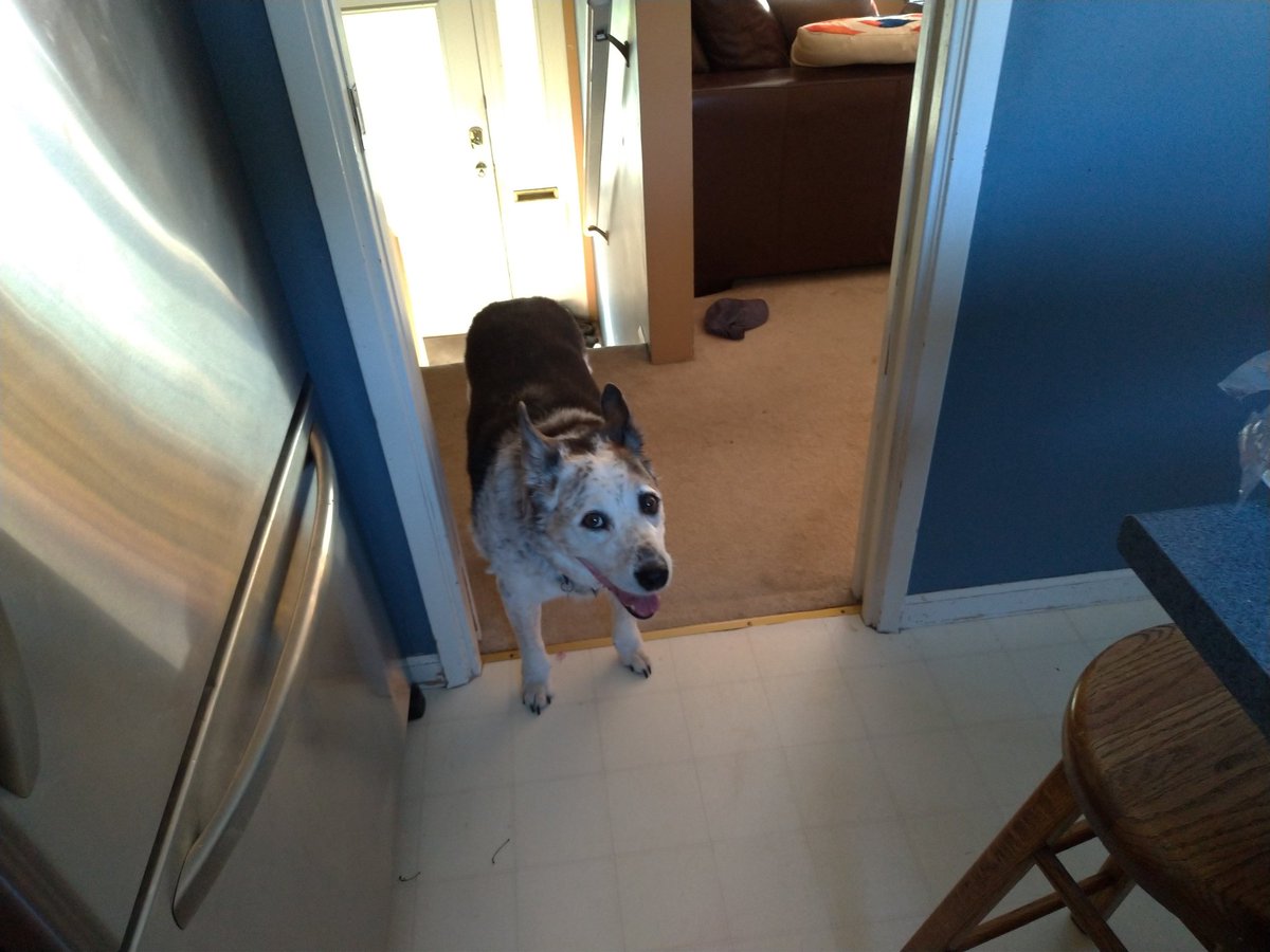 OldHandsome's tweet photo. The summer heat can't be beat! https://t.co/hPNjT7hSeF