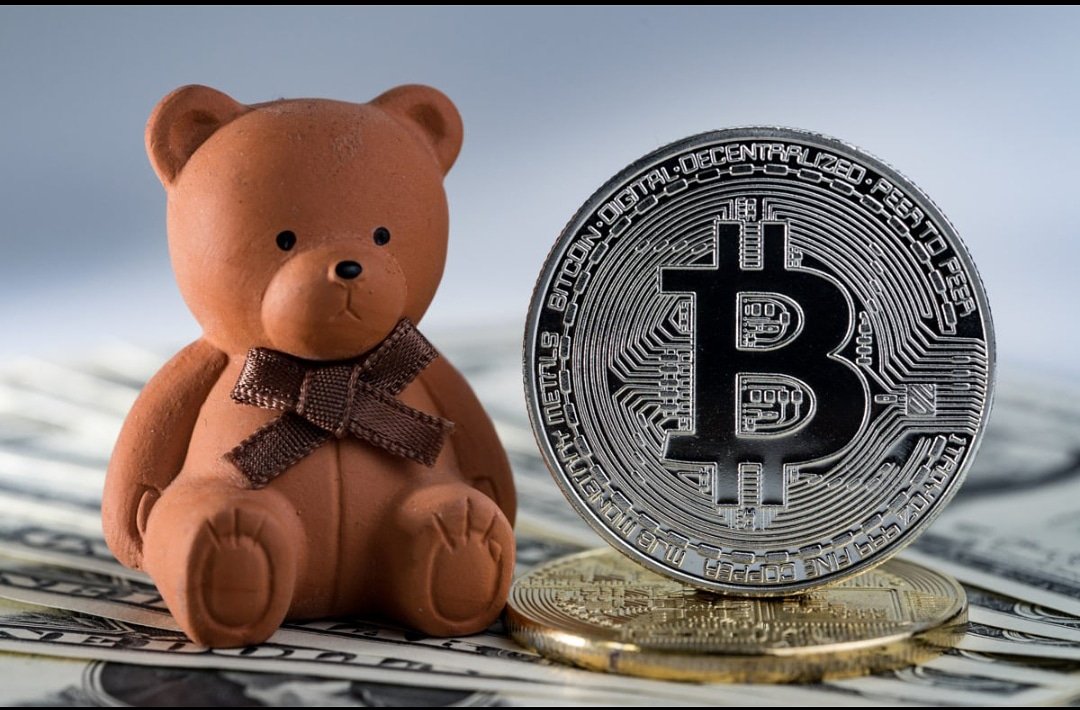 coin_telegraph's tweet photo. ‌Bitcoin Price Previous Bear Trend Could Predict Potential Price Action Ahead.https://t.co/mZfdTA6TPl #NCI500 #cryptocurrencyindex #netcurrencyindex #cryptoETF #cryptocurrencyetf #crypto #crypto #cryptocurrencies #cryptonews #cryptotrading #cryptocurrencynews #cryptotrade #tokens https://t.co/zMWSdd6ZNu
