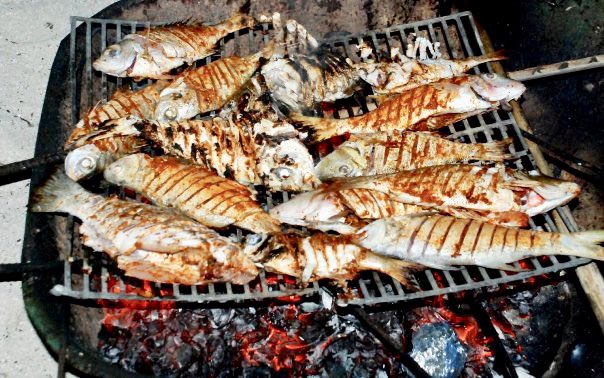 Fish barbecue inside an old wheelbarrow on the beach, is a favorite for family gatherings. But we gotta catch the fish ourselves first!  #ReethiRaajje  #HAUtheemu  #JazeeraRaajje