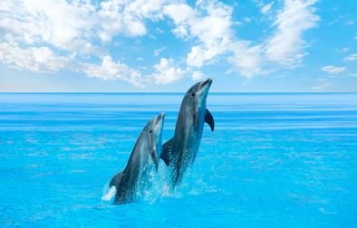 Need some help with your leap into AGILE?
hail.to/signal-ict-gra…