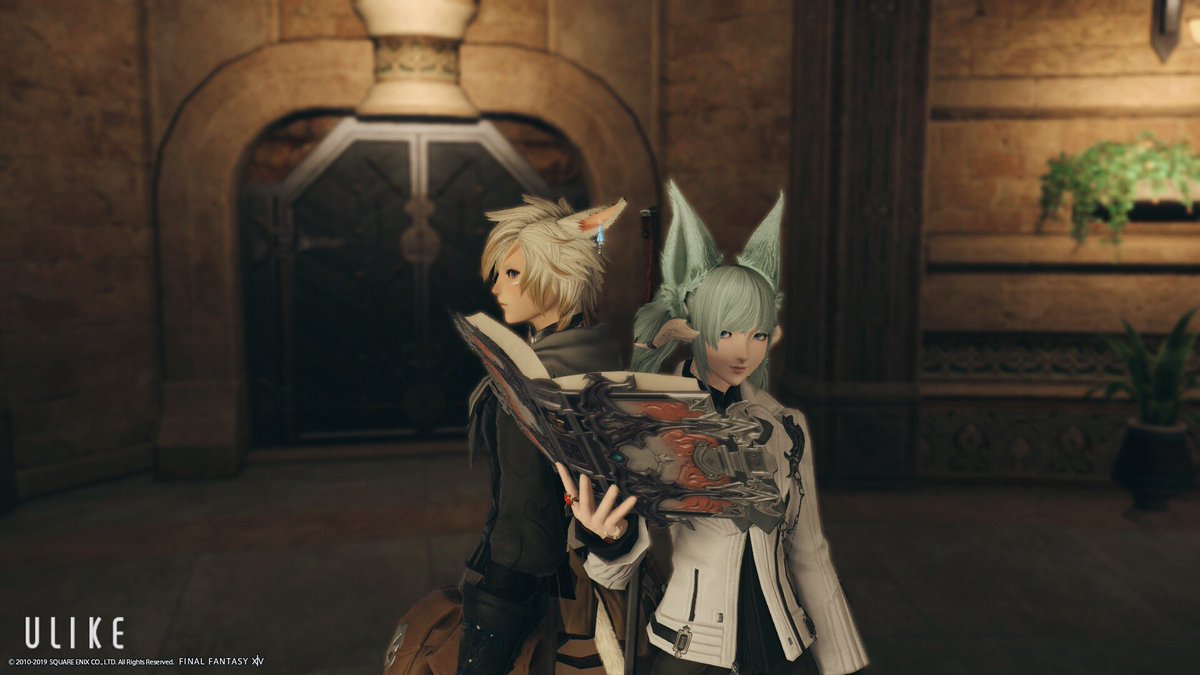 ふぉーぎぶん・みつうぇい Mitu Edamame tweet media