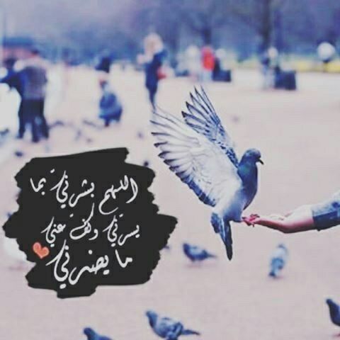 اللهُّم بشرني بالخير كما بشرت يعقوب
 بيوسف، وبشرني بالفرح كما بشرت زكريا بيحيى، اللهُّم بشرني بما انتظره منك
 وأنت خير المُبشرين
#همس