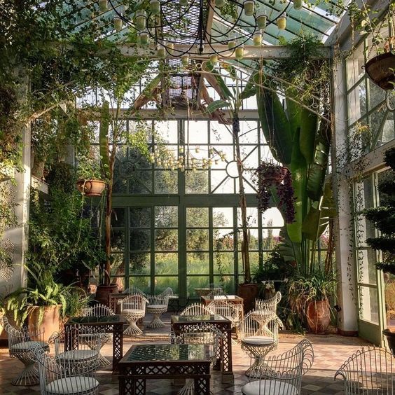 Lotaëmi tweet media