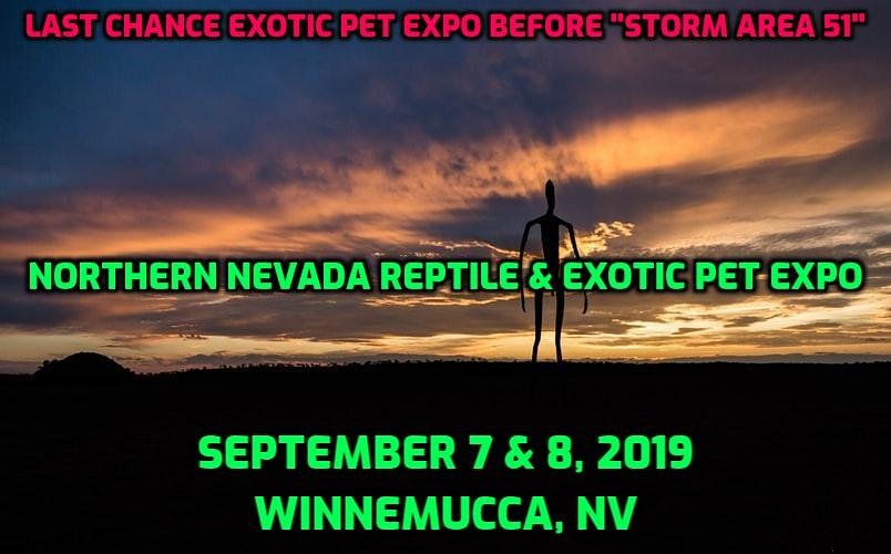 Northern Nevada Reptile & Exotic Pet Expo (@NevadaExpo) | Twitter