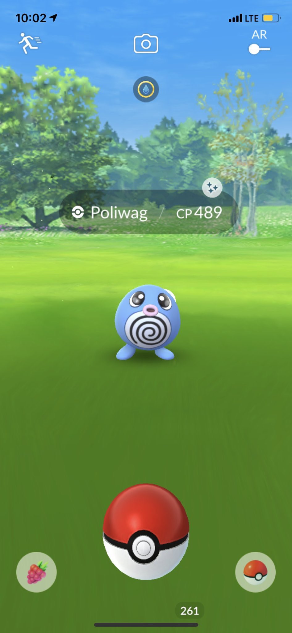 Pokémon GO GDL on X: Poliwag Shiny Liberado 💙✨ #PokemonGo #GDL   / X