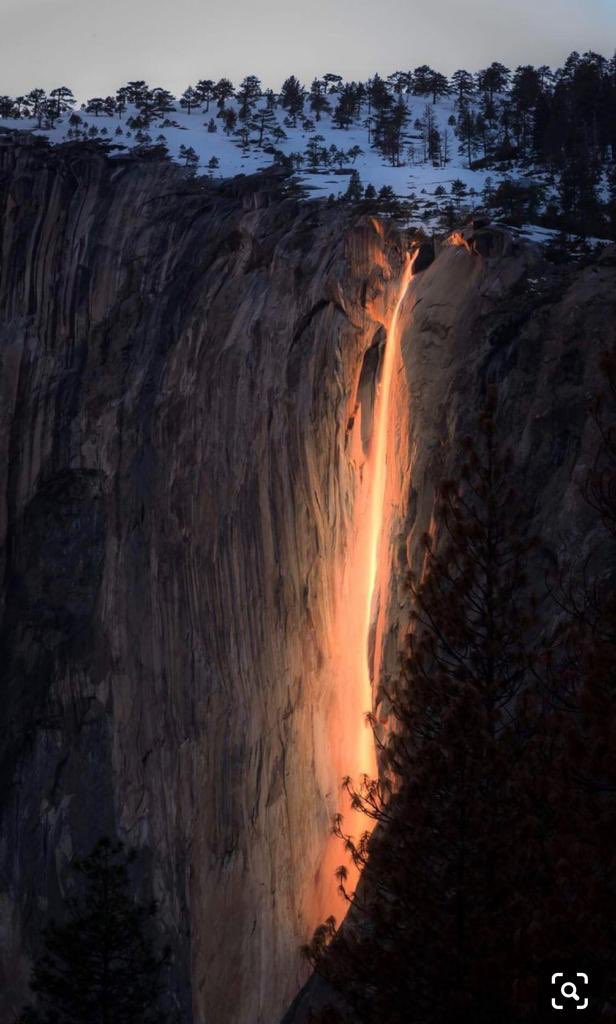 Mahesh Bhatt tweet media