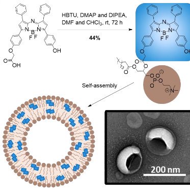 Our post-doc, Miffy, created a “one-for-all” aza-BODIPY-lipid building block, which self-asssembled into liposomes capable of optical imaging. Check out her work just accepted <a href="/angew_chem/">Angewandte Chemie</a> &amp; in collaboration with <a href="/kharmaty1/">Kara Harmatys</a>  and @DM_Charron  here: onlinelibrary.wiley.com/doi/pdf/10.100….