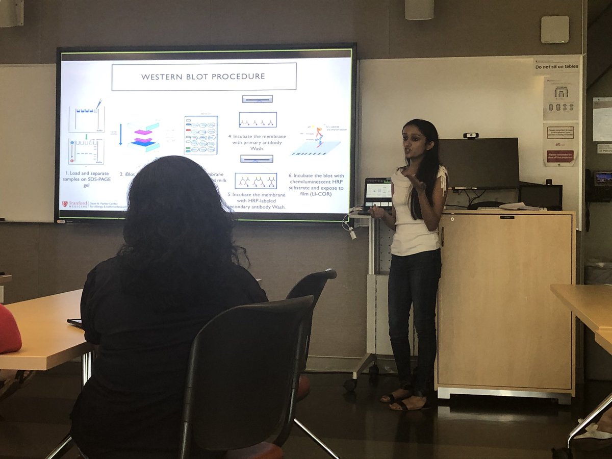 HesamMovassagh's tweet photo. My summer intern, Rushali is presenting her project on #IL_18 expression in children exposed to high air pollution @StanfordMed https://t.co/kFCHEibtva