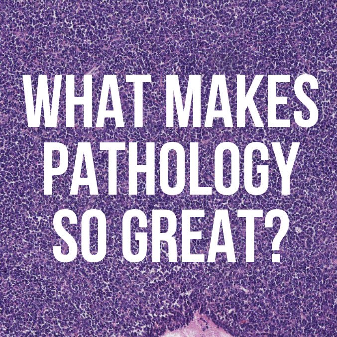 codyscarter's tweet photo. Just spent the afternoon w/ the Class of 2023 @LLUMedSchool at a CAREERS IN MEDICINE seminar.
I had lots of reasons they should choose a career in #Pathology, but what would YOU tell them? What Makes Pathology So Great?
#MyPath2Path #MedEd #MedStudentTwitter
#ASCP40UnderForty https://t.co/K9Ct7QklTh