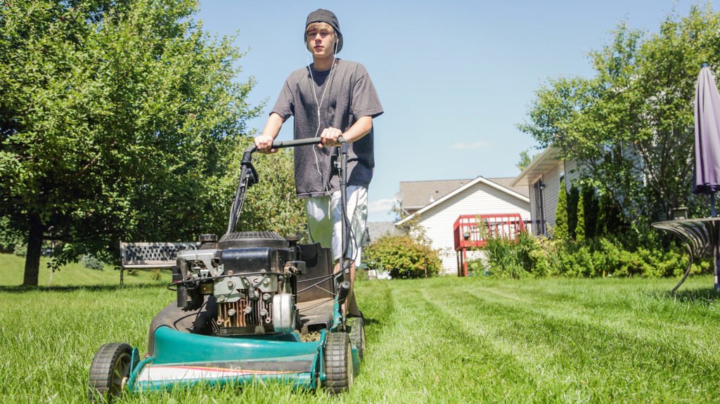 Lawn on sale mowing online