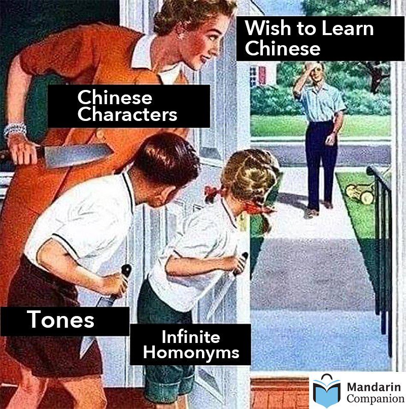 sinosplice's tweet photo. Learning Chinese Memes from Mandarin Companion https://t.co/tdshDou1dl https://t.co/NXDoID3VR4