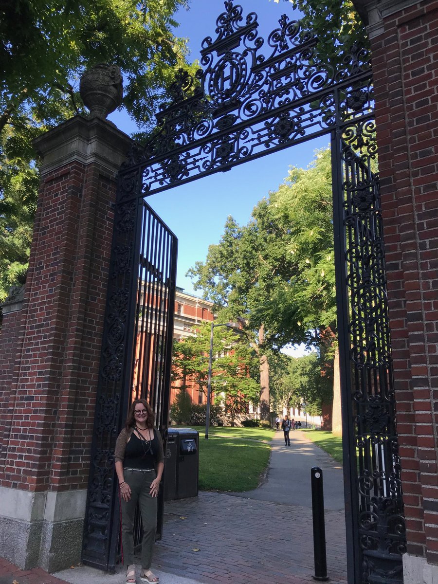 ZingerTara's tweet photo. Ok, Harvard! Let’s do this! Devoting summertime to updating my understanding of gender &amp; gender identity because...Gender Matters! #d90learns https://t.co/uWNP214s86