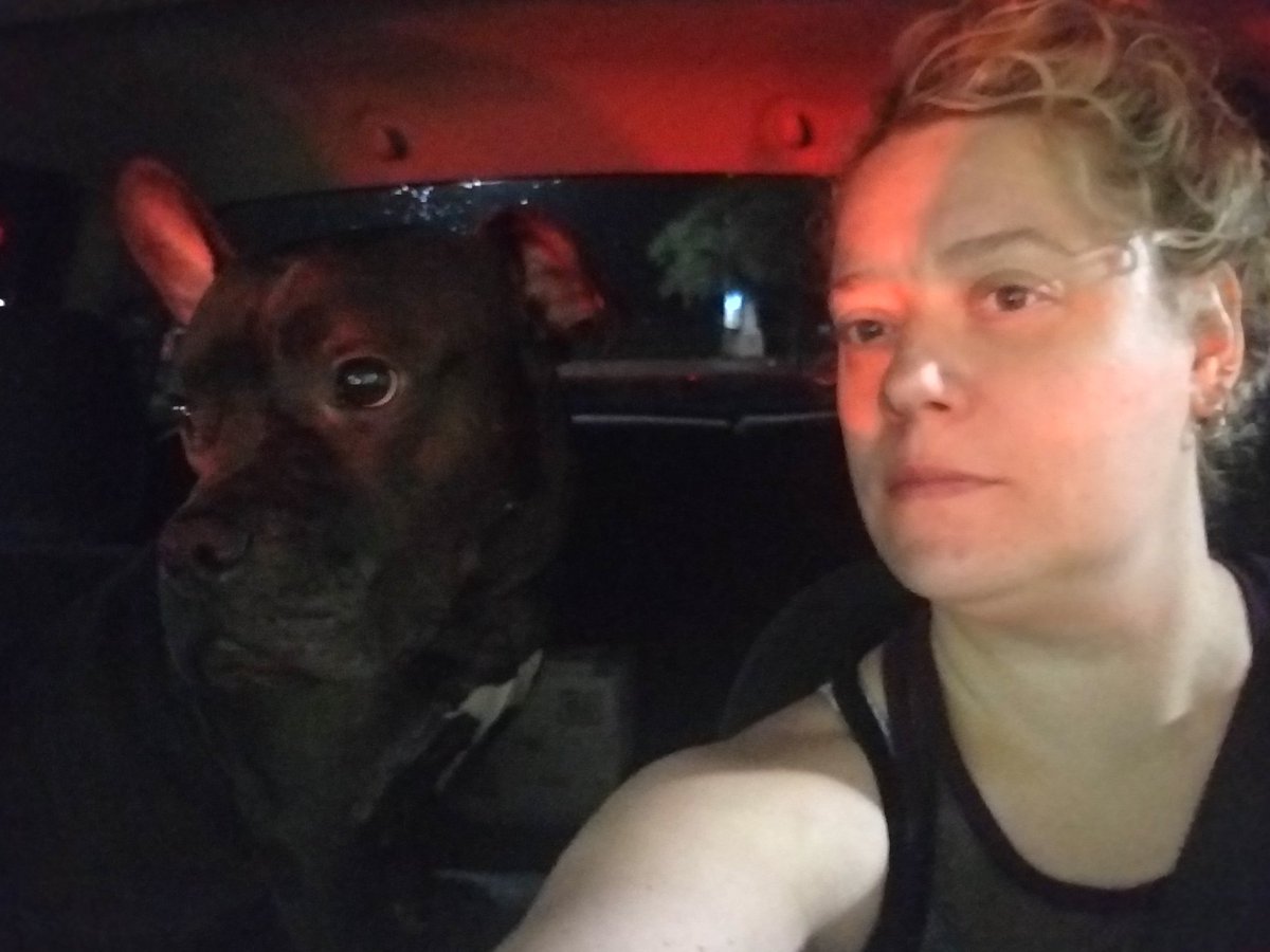 Movie under the stars. Yes, I brought my  dog ❤🐶 #twesummerfun  <a href="/TWEHowl/">Tom Wilson Elementary</a>