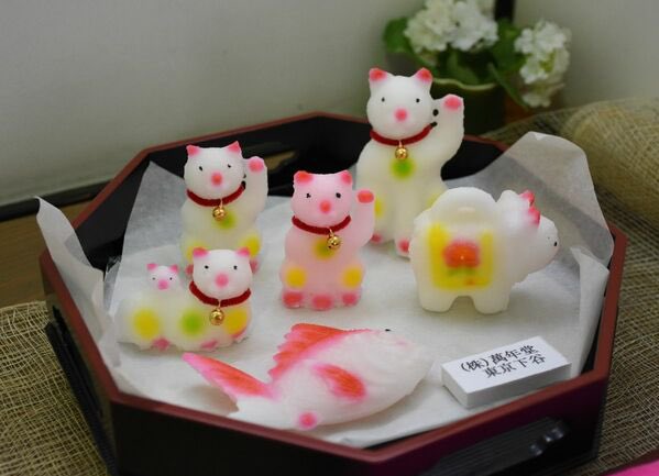 全国金花糖博覧会 Kinkatokinkato Twitter