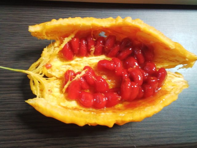 ゴーヤは種も食べられる Twitter Search