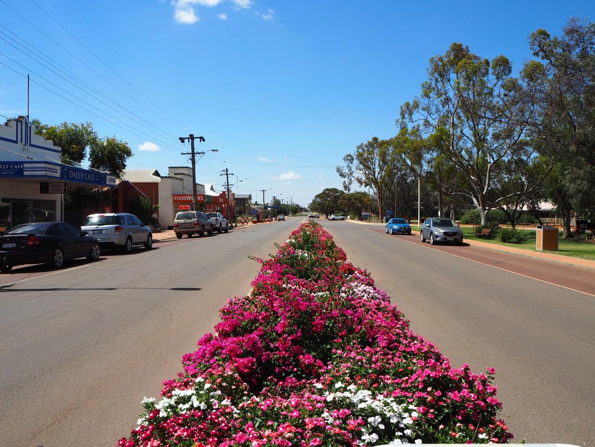 Apply now - Executive Officer position with the Liebe Group offers an exciting opportunity to lead one of WA’s largest member driven, not-for-profit grower groups based in the vibrant regional centre of Dalwallinu liebegroup.org.au/about-us/emplo…