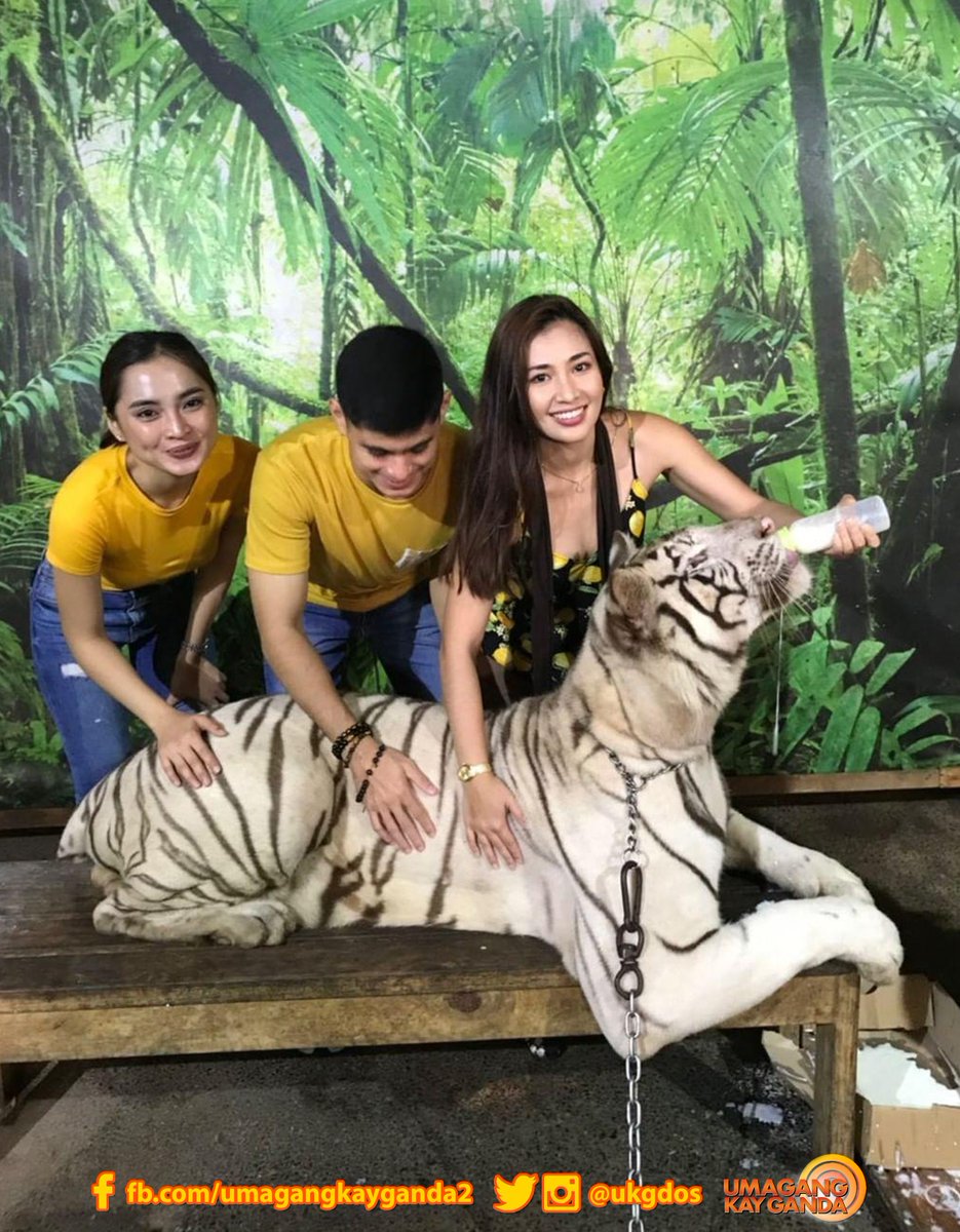 ukgdos's tweet photo. Kakaibang adventure ang sinubukan ng #UKGSquad na sina Roxy, Martin, and Pat kasama ang wild animals sa Subic! 🐅🐯 https://t.co/85cps95FvG