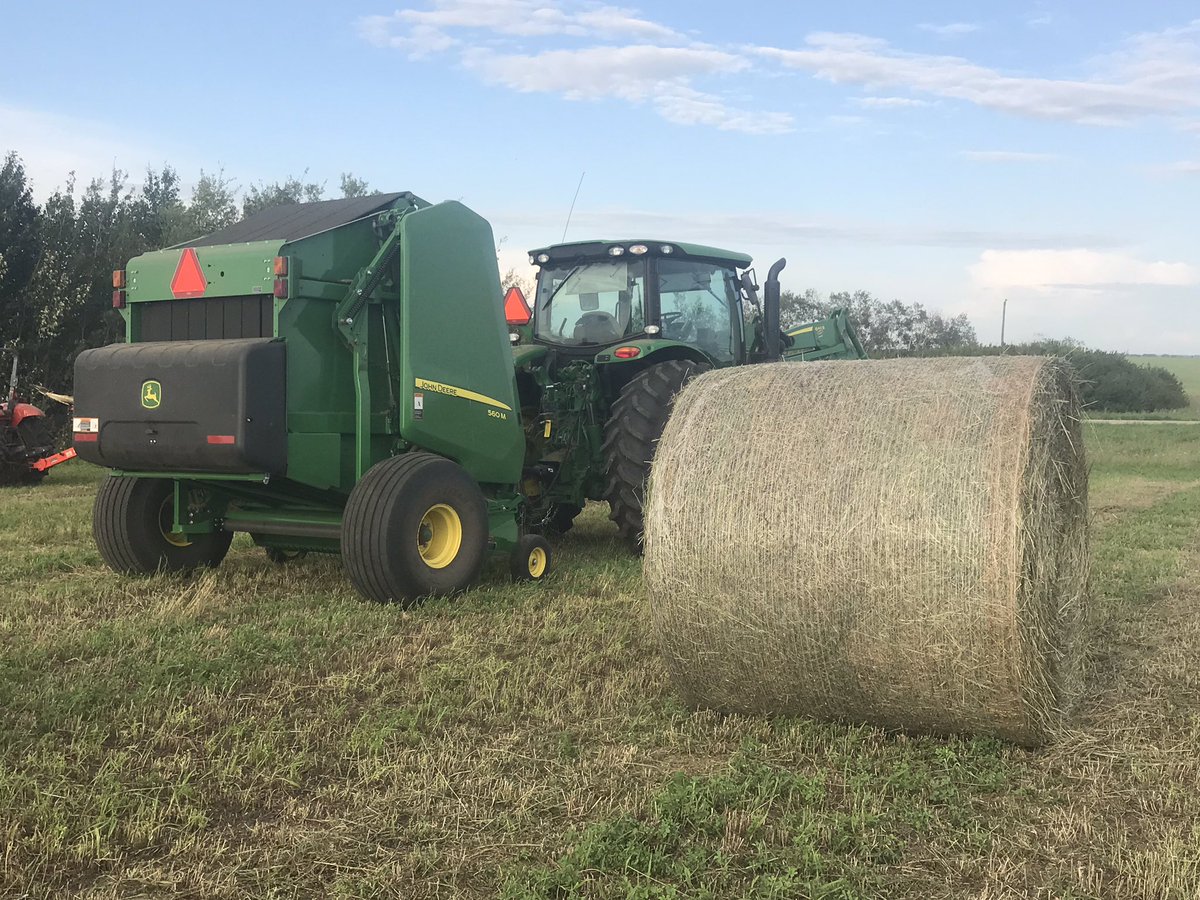 CoreyBloder's tweet photo. 700 bales on 145 acres of new hay, Mark that down as a win. #haying #deere https://t.co/cNBtjoJeie