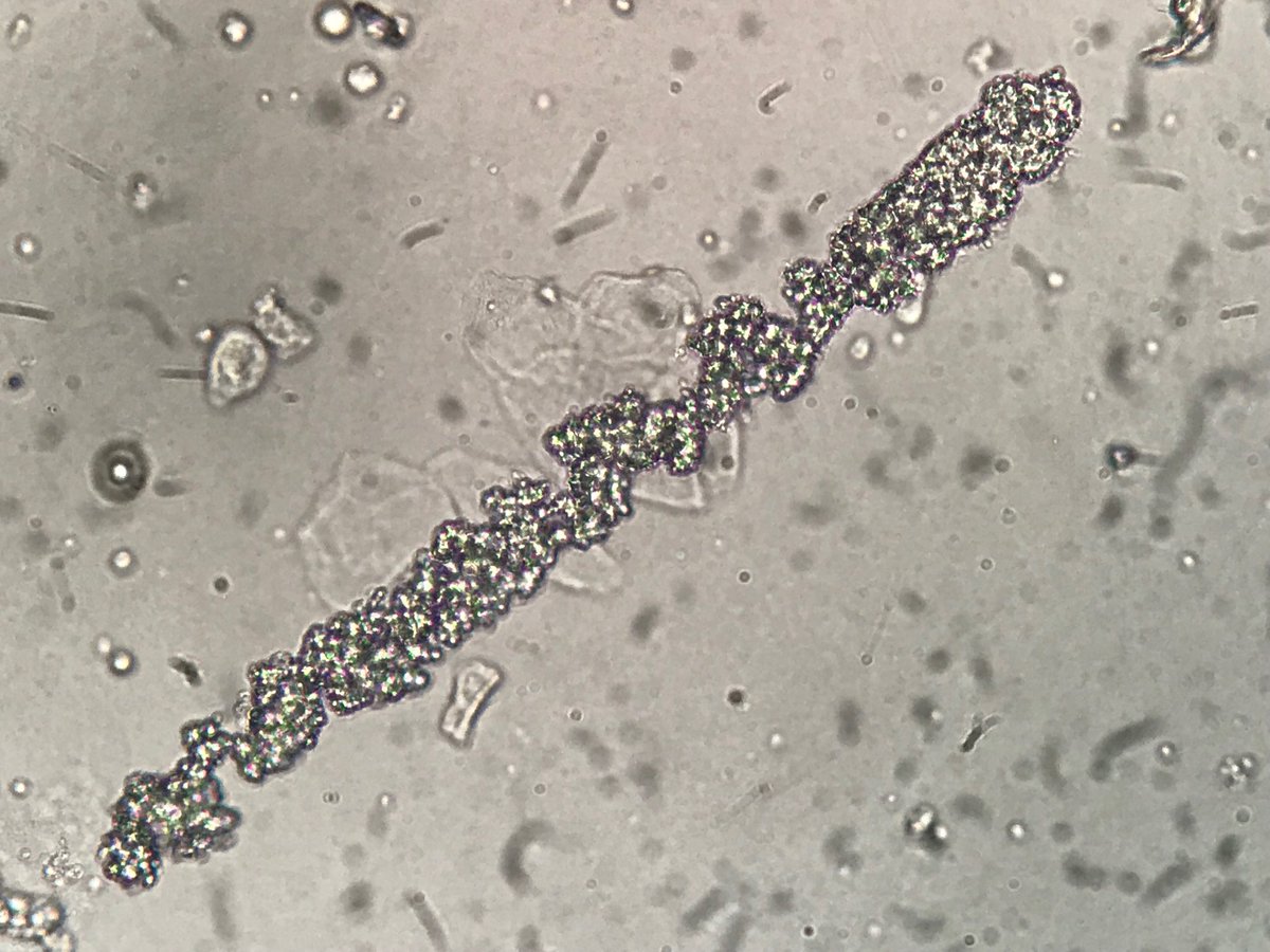 Crystallopathies (@crystallopathy) / Posts / X