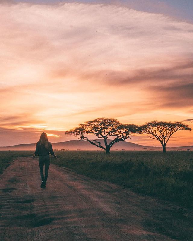 Beautiful sunsets in the Serengeti 📷 by <a href="/palomafts/">Paloma Fts</a>
#HereIsTanzania