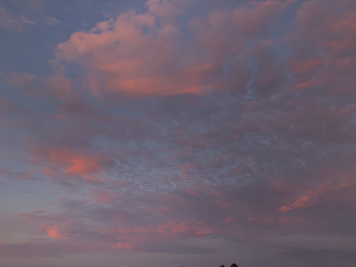 TheTSwiftStan's tweet photo. Like honestly we love a sky in August that knows that is #LoverMonth 💘💗

Do not forget to vote daily for @taylorswift13 #VMAs #VoteTaylor
https://t.co/eIGQPCEu9a https://t.co/5AODAzEAwg