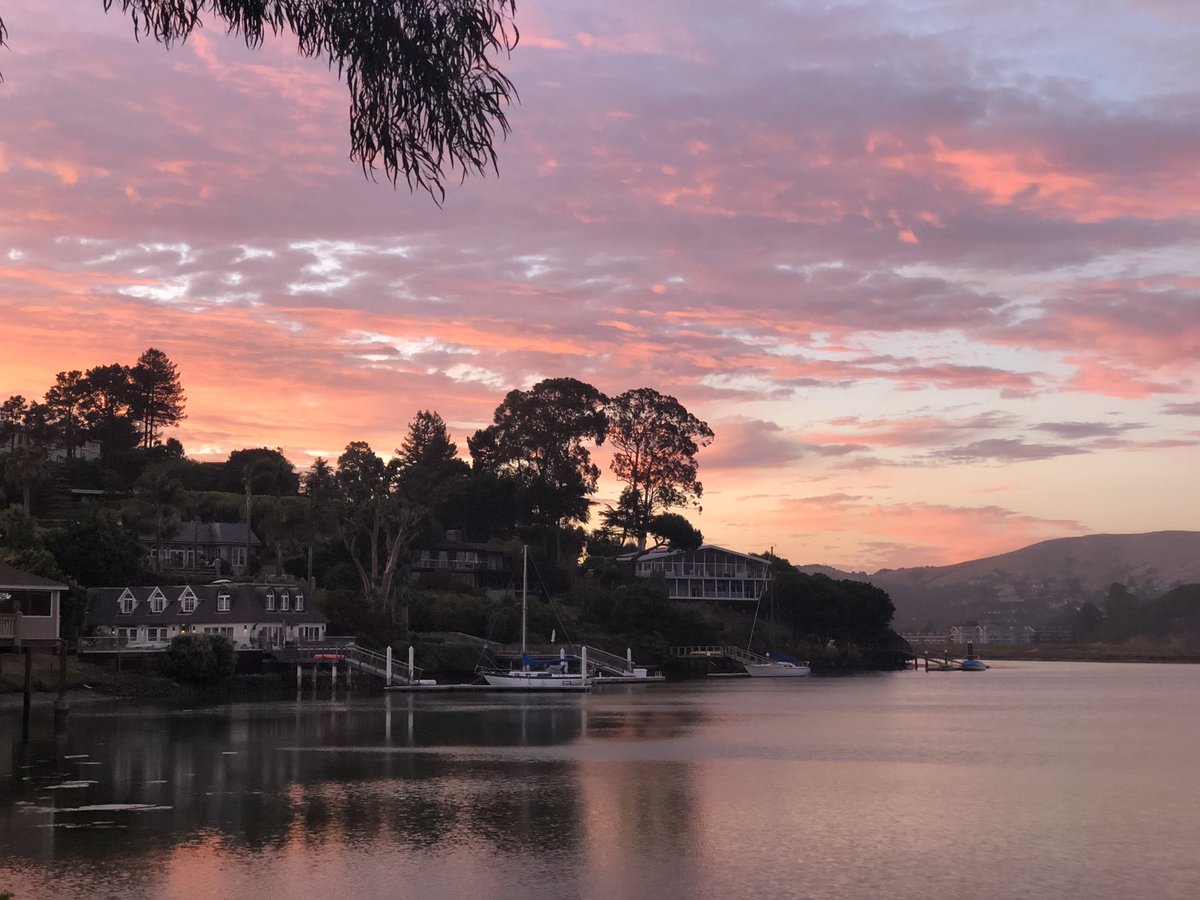 TheTSwiftStan's tweet photo. Like honestly we love a sky in August that knows that is #LoverMonth 💘💗

Do not forget to vote daily for @taylorswift13 #VMAs #VoteTaylor
https://t.co/eIGQPCEu9a https://t.co/5AODAzEAwg
