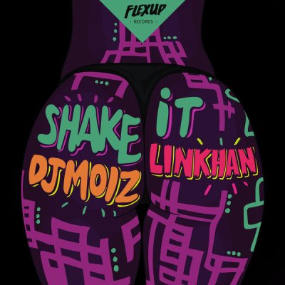 NewZIKradio's tweet photo. DJ Moiz - Shake It Feat. Linkhan En ce moment sur #WebadubRadio https://t.co/Na1nvdbNYT