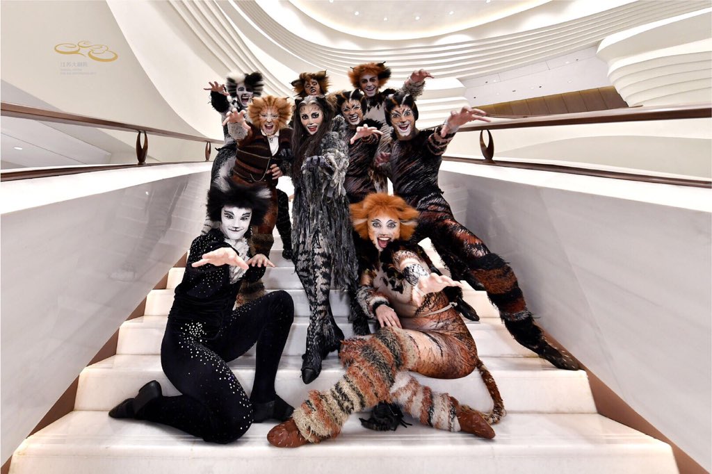 LiTongHsu's tweet photo. Love touring China with this lot! 😻#catsmusical #catsinternationaltour https://t.co/Ed3s5MsEDc