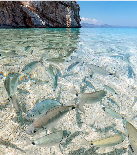 NelsonCBrendan1's tweet photo. Tag who you’d explore with! 😍 Sardinia, Italy. https://t.co/2PUgJjHJlO