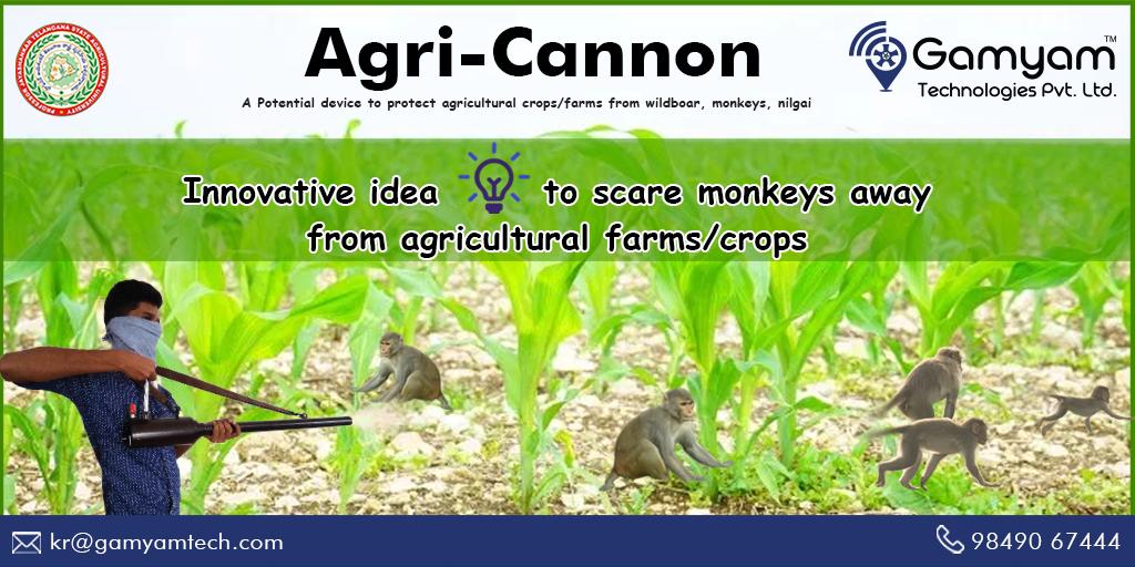 ABRConserv's tweet photo. Innovative idea to scare monkeys away from agricultural farms/crops
Learn more: https://t.co/S3jj59E3CS
For more details contact us @ +91-9849067444
#monkeyscarerdevice #birdscarer #protectcropsfrommonkeys#savecrops #monkeyrepeller https://t.co/ALN27yPiB6