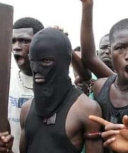 needradioke's tweet photo. #AmFrontrow the blame game of who should take responsibility about the bamburi incident involving wakali kwanza is popping up whom do you think is to blame?
#familytalktuesday
@MaxWirehera 
@deejayvqlax https://t.co/wqi9x9idId