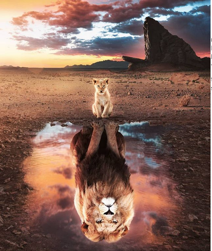 NelsonCBrendan1's tweet photo. Believe in your inner abilities... “The desire for connection with the Divine and our formless inner self is at the foundation of all desire for human connection.” “Enjoy the peace of Nature and declutter your inner world.” “Day or night, good or bad…all things from within. https://t.co/DyxNkfVrD1