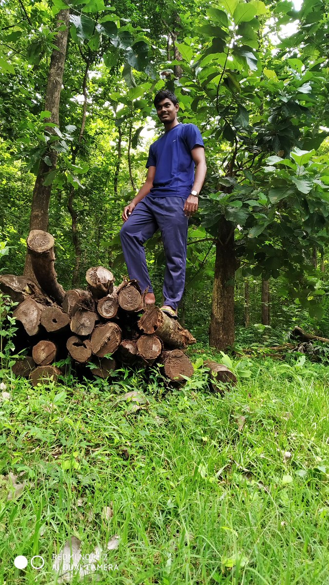 Dhamu_25's tweet photo. 💚💚💚
Feeling the Nature https://t.co/lSgneGEfBP