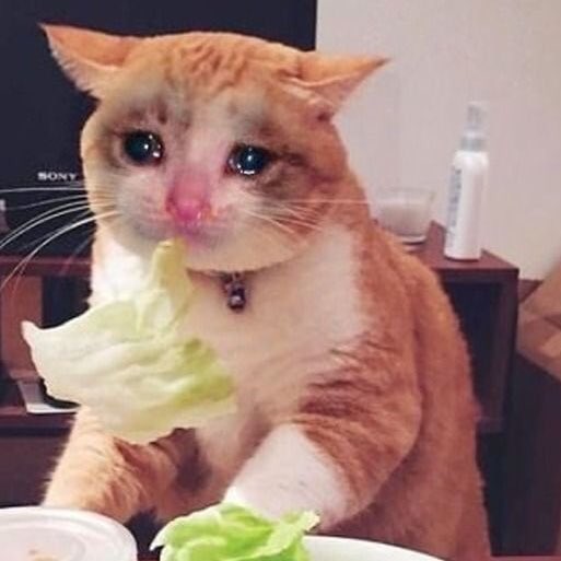 sad boy . tweet media