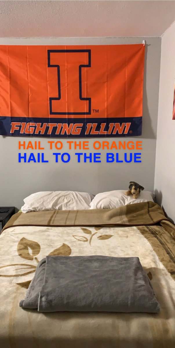 Bballlova99's tweet photo. .@Illinois_Alma @IlliniAthletics @Champaign_Room @IlliniAD @BarstoolILL what do y'all think about my new wall decoration? #Illini #ILLgang #UIUC17 #LittyvILLe https://t.co/jNpW0TQeLH