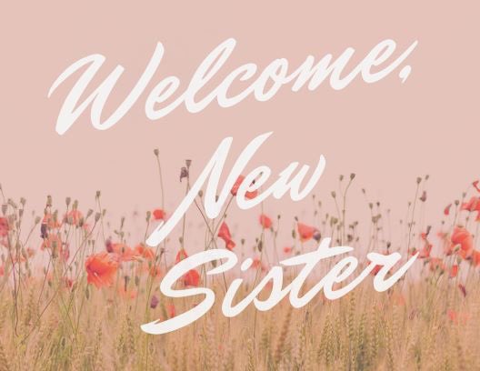 SPGsisterhood's tweet photo. Lindsay Cornelius💜Lynnmarie Fye 
Denise Justice💜Michelle Meffley 
Amanda Meffley💜Della Morris-Schaffran💜Susan Phillians 
Lisa Ann Poff 💜Tina Meyer 
Diana Gruber💜Deborah Patton
Angie Ray💜JoAnn Shappard
Carla Healy💜Shirley Platt 
JoEllen Shorb
Jean Wagner 💜Anita Nicholas https://t.co/ikT5eV4L8k