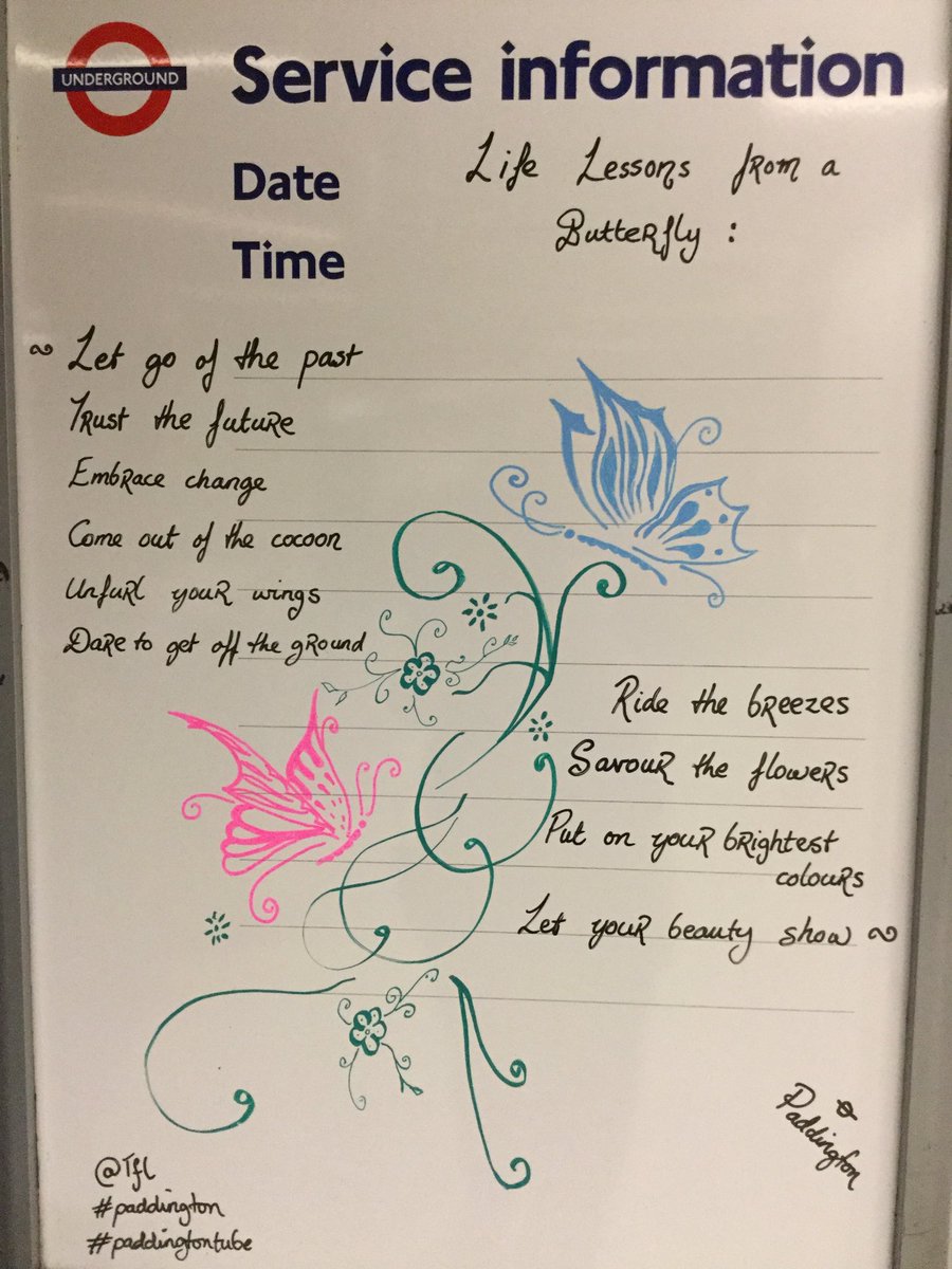 michelle_amooty's tweet photo. Paddington Underground ~ Bakerloo @TfL #paddingtontube #paddington #butterfly #ButterflyCount #beauty https://t.co/MbkgVeANEZ