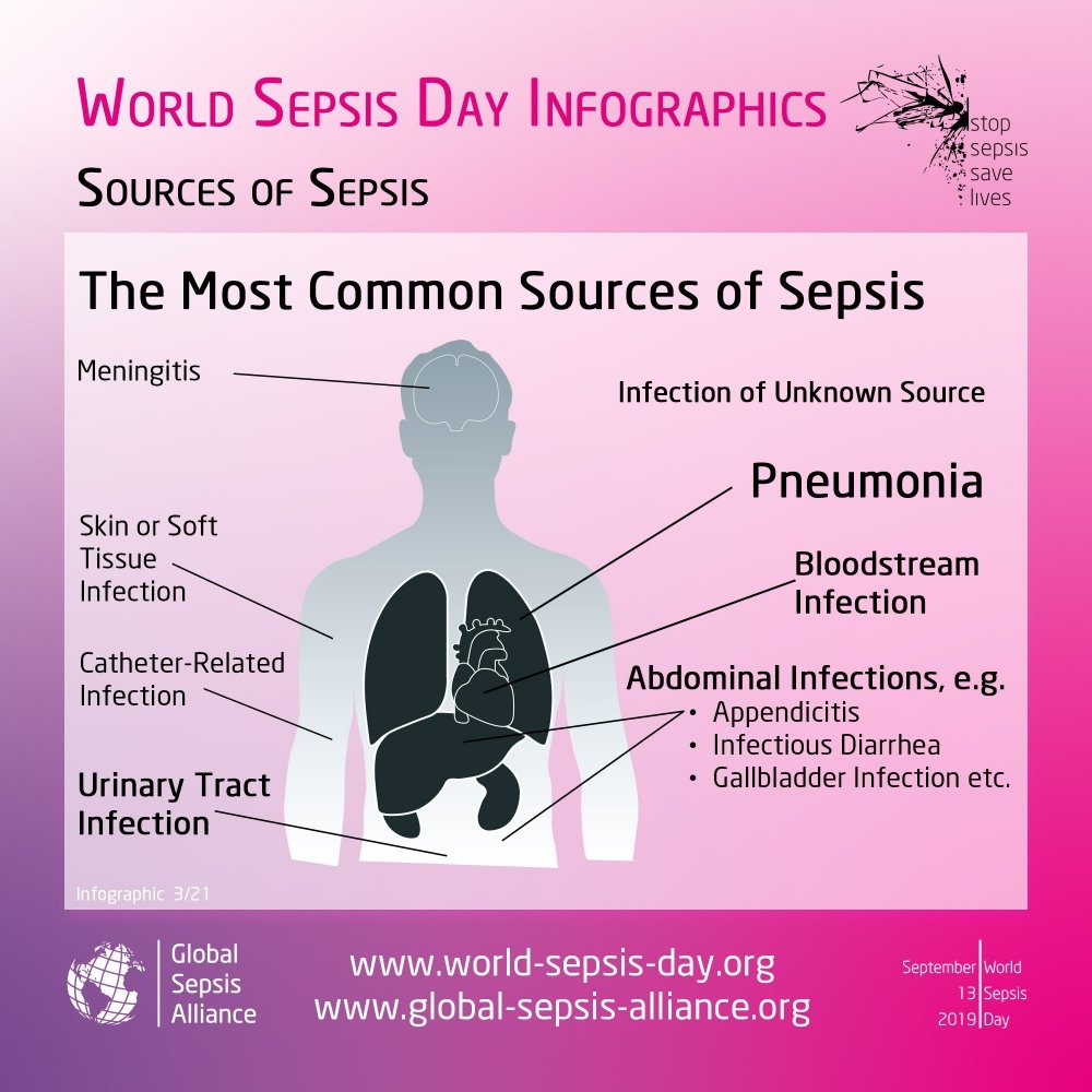 HealthFirstEU's tweet image. It&apos;s time to talk about sepsis! #Sepsis is a global thread for the 🇪🇺 &amp;amp; the entire 🌍 killing a person every 3.5 seconds. To #StopSepsisEU we shall know the most common sources