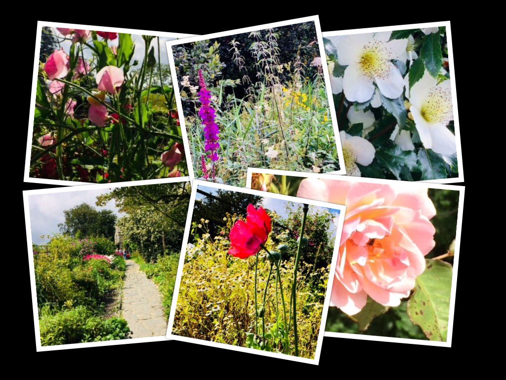 AngharadBeckett's tweet image. Gardens &amp;amp; wildflowers of #Cumbria

#beautifulweekend #peace #joy