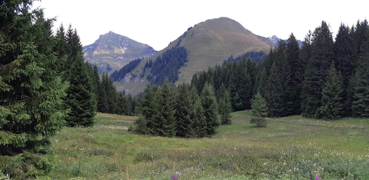 missval22's tweet photo. Praz-de-Lys😍
https://t.co/tpfXhjaglC
#hautesavoie #prazdelys #sommand #marcelly #montagne #mountain #taninges #mieussy #ravine #photography #vacances #holidays #lesgets #morzine #montriond #avoriaz #cluses #samoens #chatel #chamonix #annecy #annemasse #legrandbornand #laclusaz https://t.co/lyEZdMsxPg