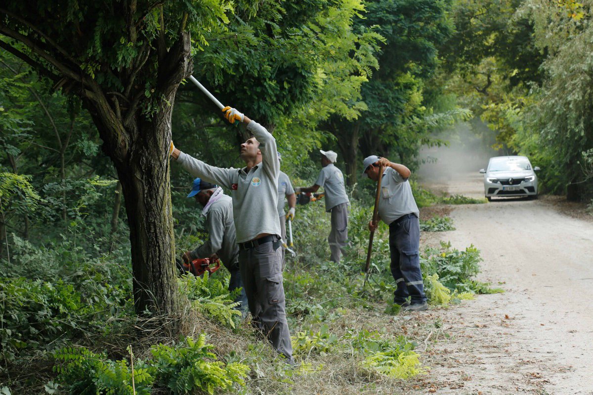 Adana_Bld's tweet photo. Park Bahçeler Daire Başkanlığı ekiplerimiz tarafından, Yaşar Kemal yürüyüş ve koşu parkurunda, spor yapmaya engel olan yabani otların, budama ve temizlik çalışmaları devam ediyor. https://t.co/3yT9XEyelR