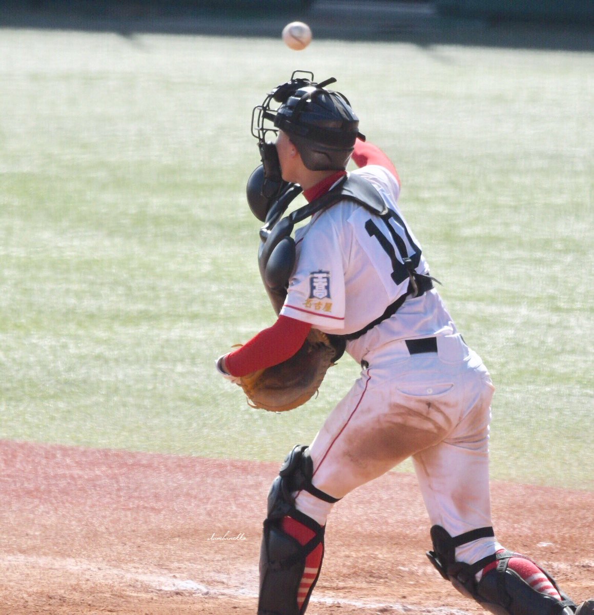 Iambanekko's tweet photo. 第71回名古屋市立高等学校
硬式野球大会 第3日 準決勝
　名古屋市工　ﾊﾟﾛﾏ瑞穂野球場
００１０００❺=６
０１３１０２=７
　名東　　　第2試合[7回表 終了]
#名市工 ビッグイニング 1点差
いずれもイニングの先頭打者で
3打数3安打 三塁打1本 
7番 谷口 慶汰(⑩捕手 2年)
(#山田東中 #ALLDREAMS) https://t.co/SVsLQEgTyO