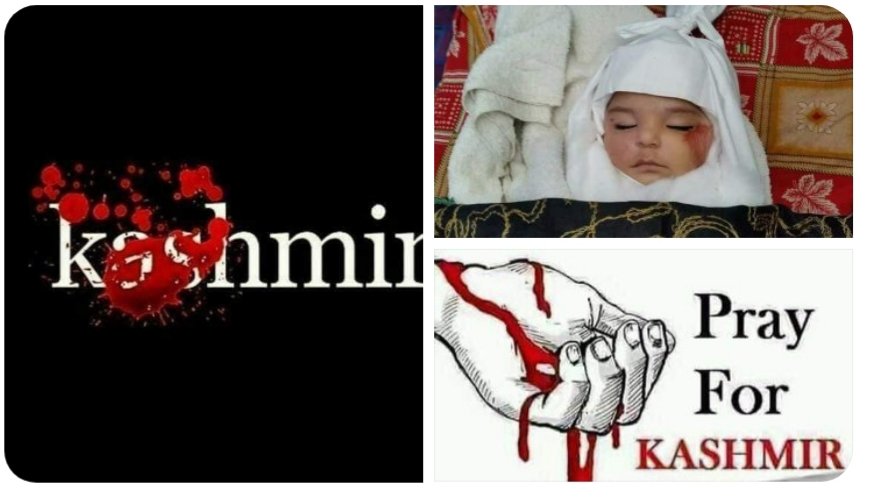 BalochRizi4's tweet photo. کشمیر  میں بھی اس بار کیا غضب کی عید ہوگی 
فرق صرف اتنا ہوگا وہاں انسانوں کا خون بہئے گا 

#SaveKashmirForHumanity https://t.co/u1FTggM5wL