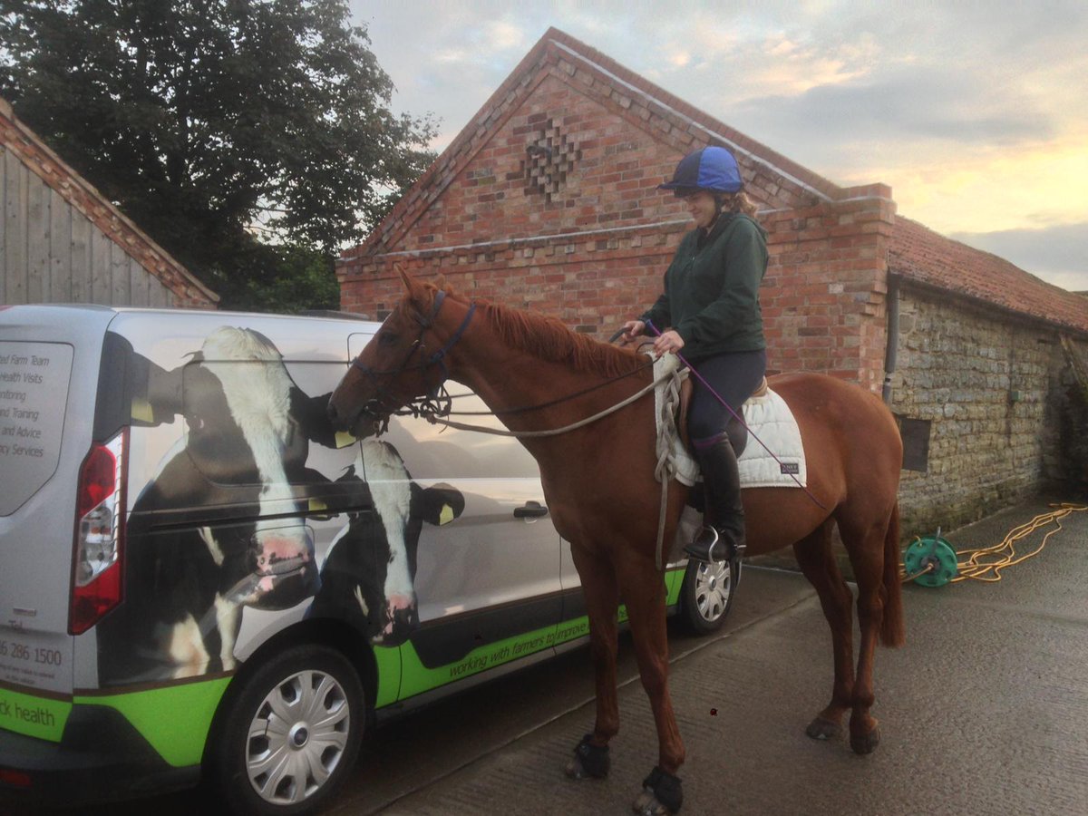 PVG Farm Team tweet media