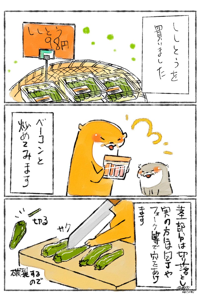 シシトウが好きです✨
天ぷらで食べるのが一番好きなのですが、今回はベーコンと炒めて甘辛味に仕上げました。

ご飯や素麺などのオトモにも合うと思うのです✨
時々辛いシシトウが居ますが、我が家ではそれを「当たり」と言ってもう一個シシト… 