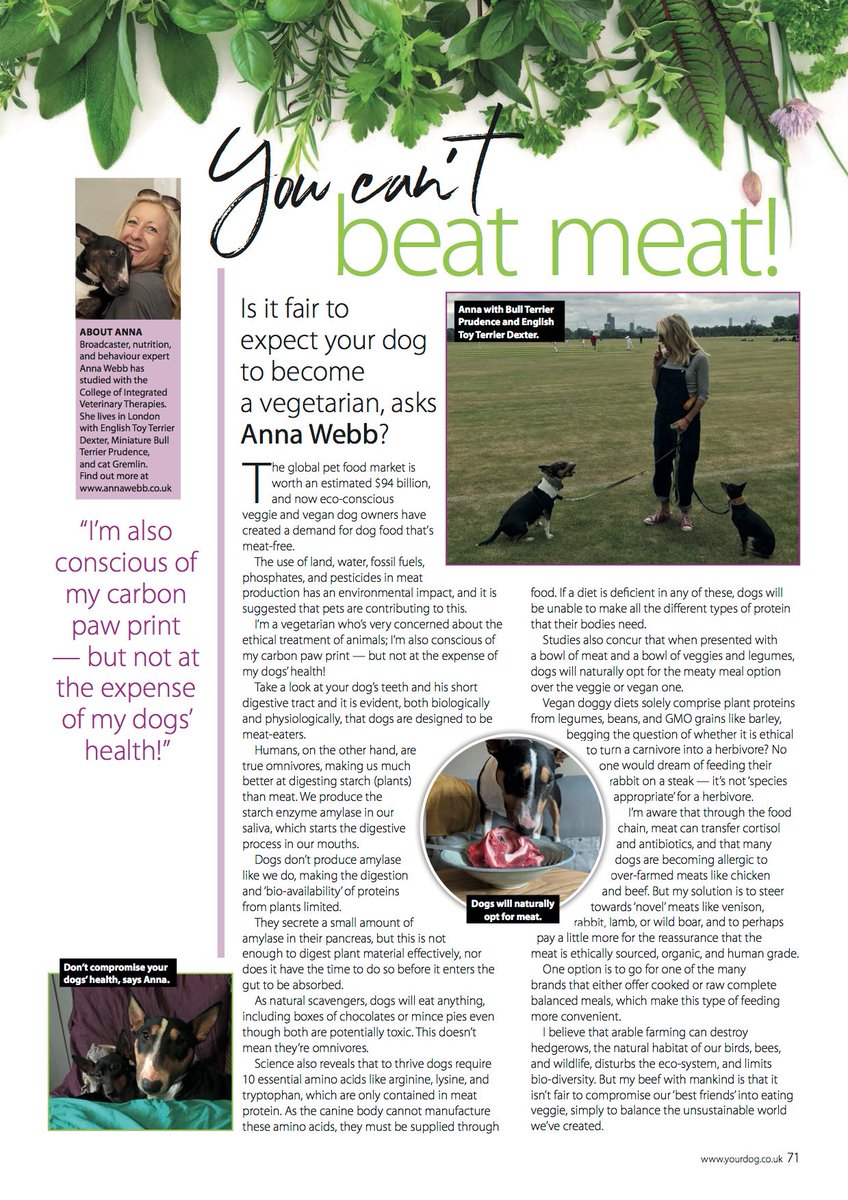 The August issue of <a href="/yourdog/">Your Dog Magazine</a> magazine is out now! Check out my column "You can't beat meat', its feeding as nature intended. #RAWgust🐶🥩🥦