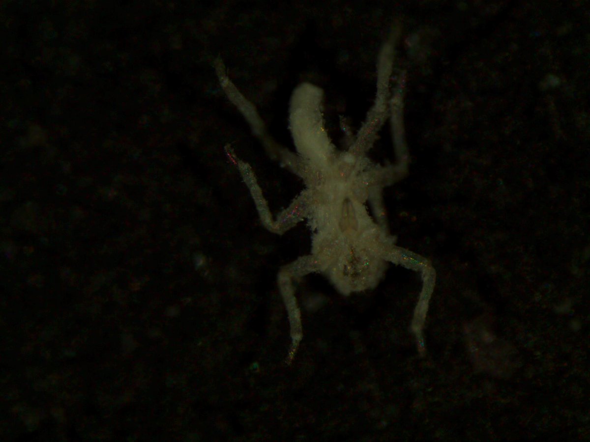 Johanna Marquardt tweet media