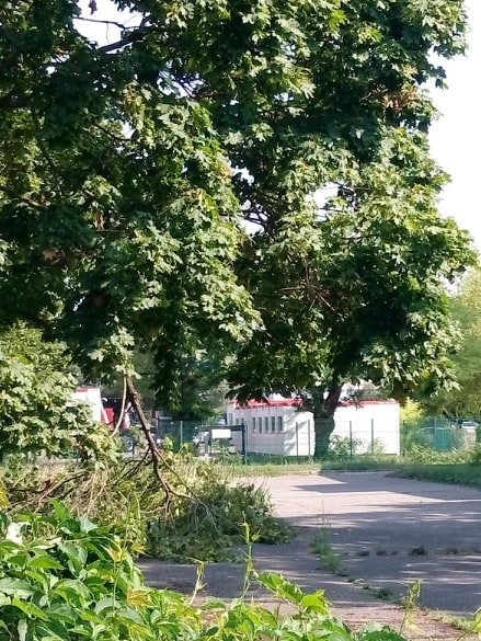 Stjeanvilleurbanne On Twitter Dit Grandlyon Tu Es En Train De Faire Pousser Un Batiment Modulaire Rue Des Jardins C Est Pour Y Faire Quoi Villeurbanne Ericdesbos Rllung Jeanpaulbret Https T Co Zezox7guul